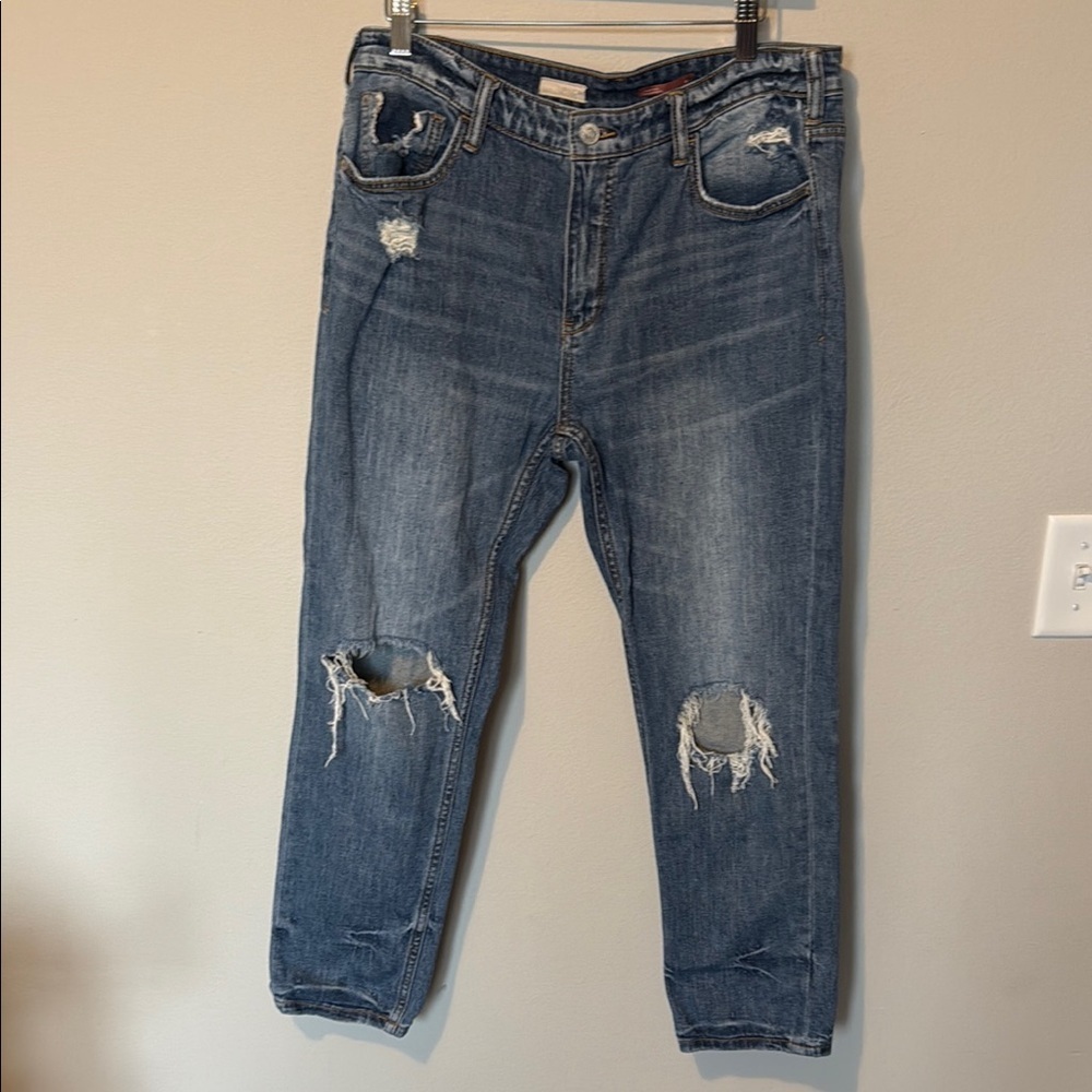 Pilcro by Anthropologie Heritige Boyfriend Distressed Jeans Sz 28 Cropped